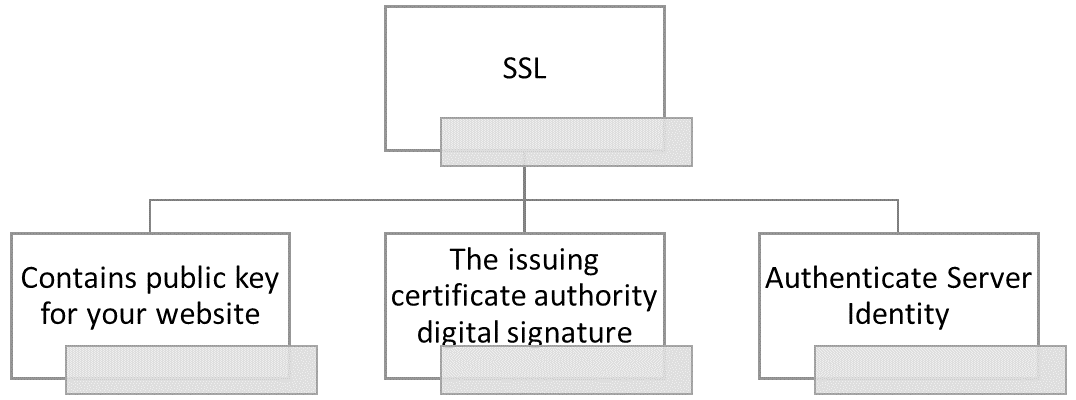 SSL Essential Things