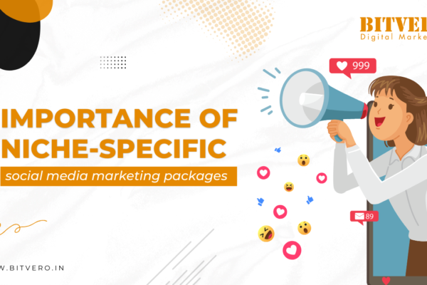 Importance of niche-specific social media marketing packages